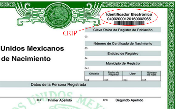 Crip acta de nacimiento
